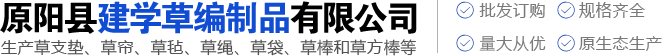 無(wú)尾鋼絲螺套